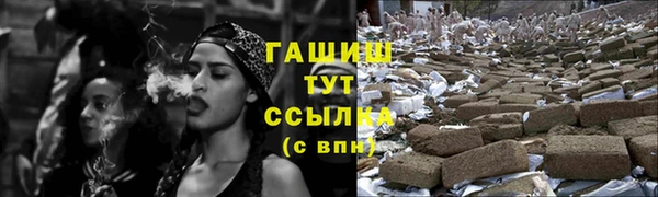прущие грибы Абаза