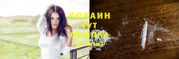 прущие грибы Абаза