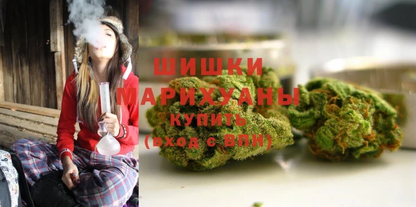 прущие грибы Абаза
