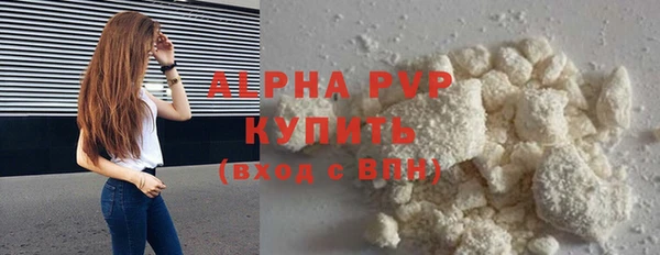 прущие грибы Абаза