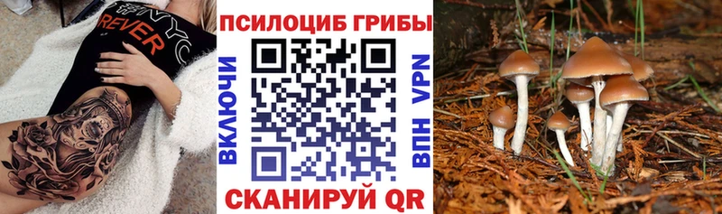 Псилоцибиновые грибы ЛСД блэк спрут ССЫЛКА Топки