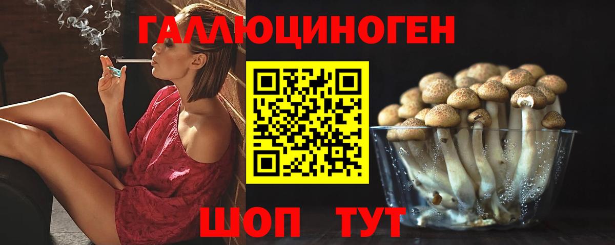 Псилоцибиновые грибы прущие грибы  Псилоцибиновые грибы GOLDEN TEACHER  Топки  Вход с VPN 